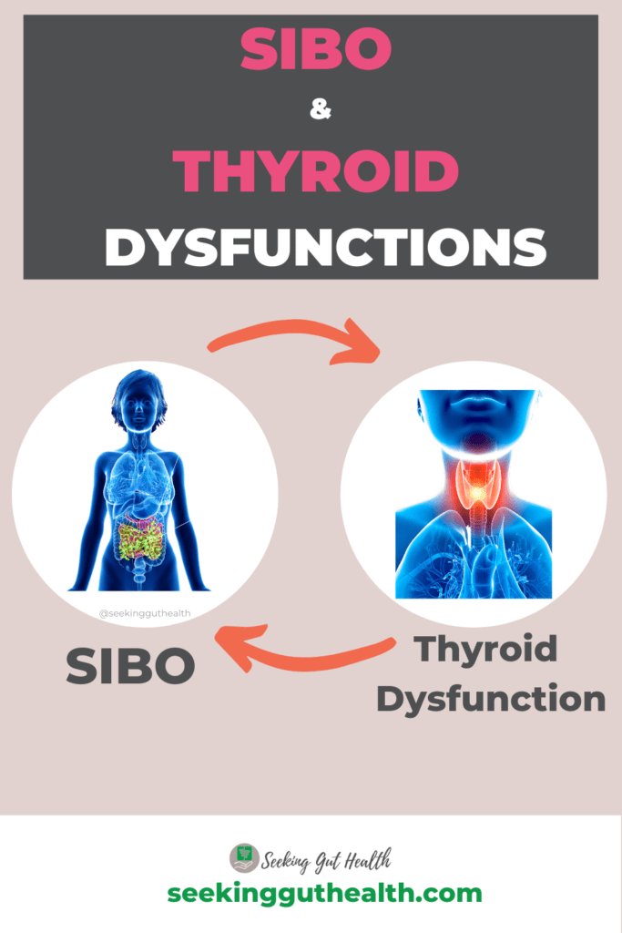 Gut SIBO thyroid dysfunctions hypothyroidism