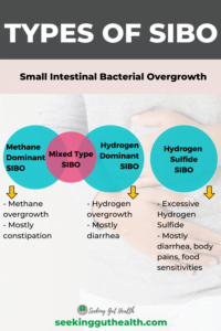 Types of SIBO (Small Intestinal Bacterial Overgrowth)