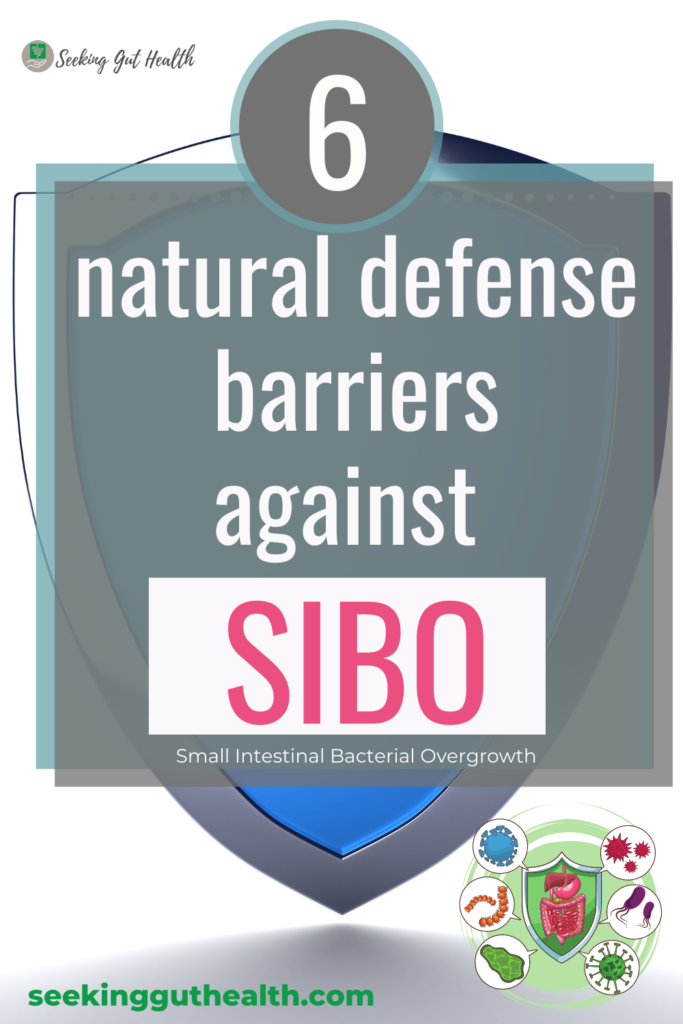 SIBO relapse - body’s natural defense system against SIBO