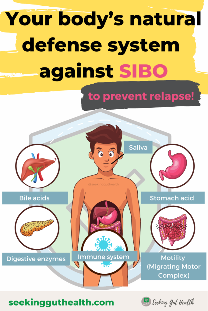 SIBO prevention body’s natural defense system against SIBO