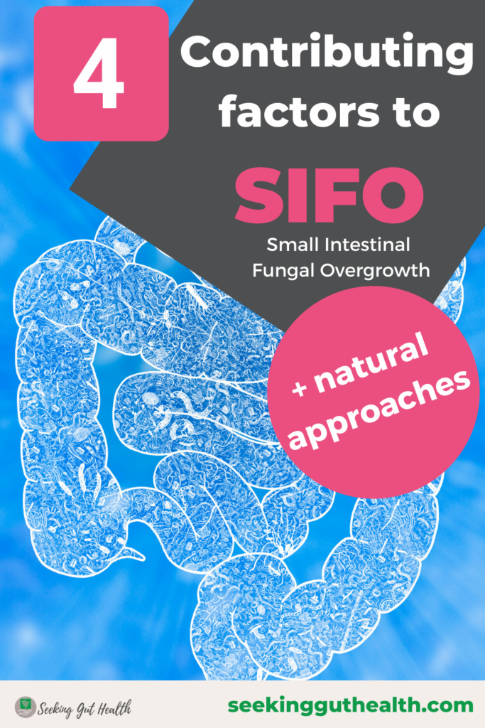 SIFO fungal overgrowth behind your IBS SIBO digestive symptoms2