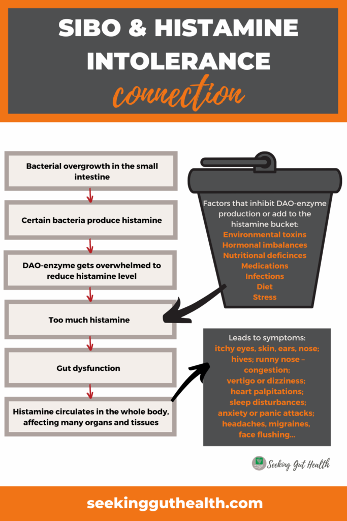 sibo and histamine intolerance connection