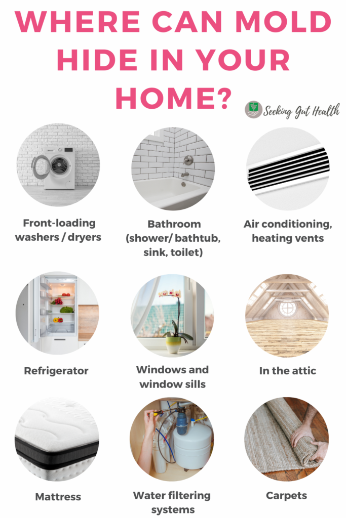 mold hide in your home gut issues