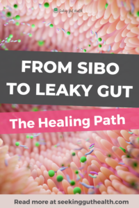 From SIBO to Leaky Gut - the healing path