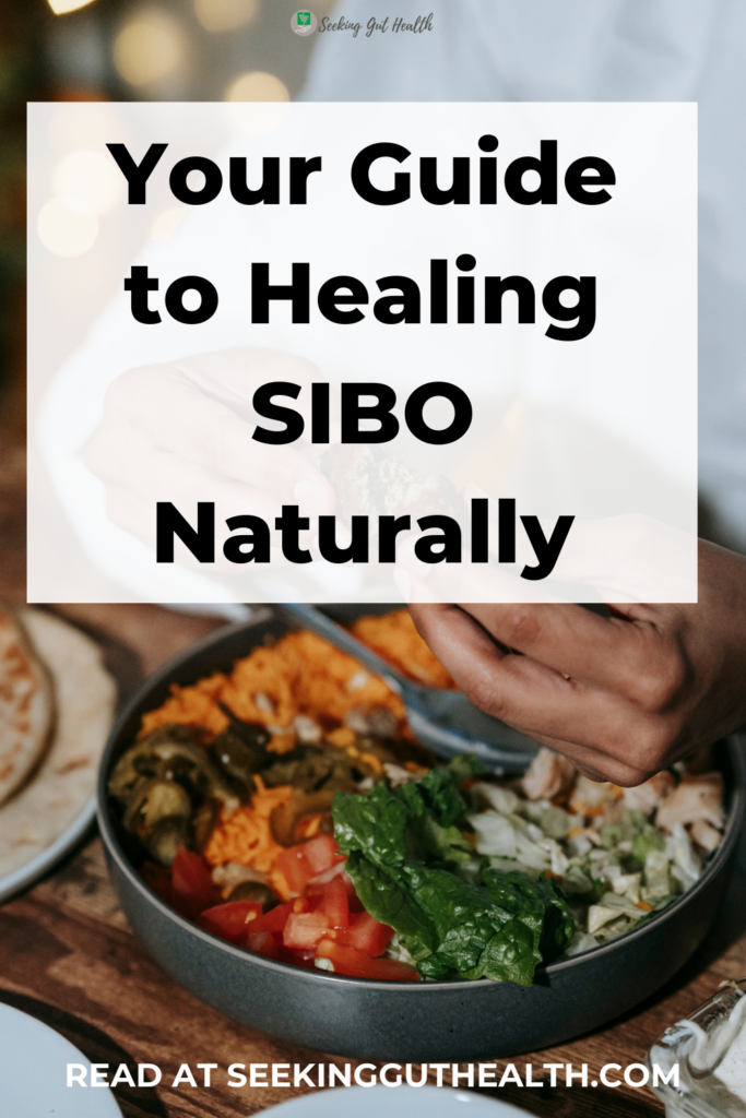 your guide to healing SIBO naturally and holistic approaches